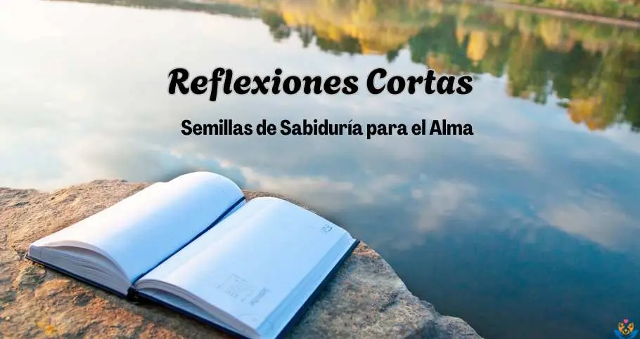 Reflexiones Cortas
