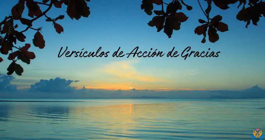 Versiculos de Accion de Gracias