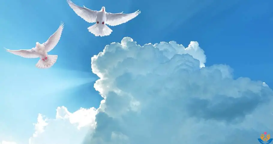 la mision del espiritu santo