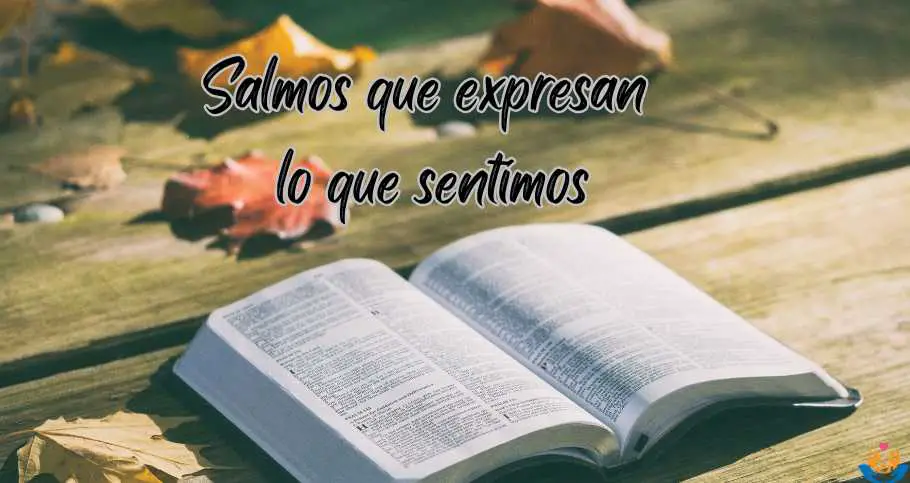 salmos que expresan lo que sentimos